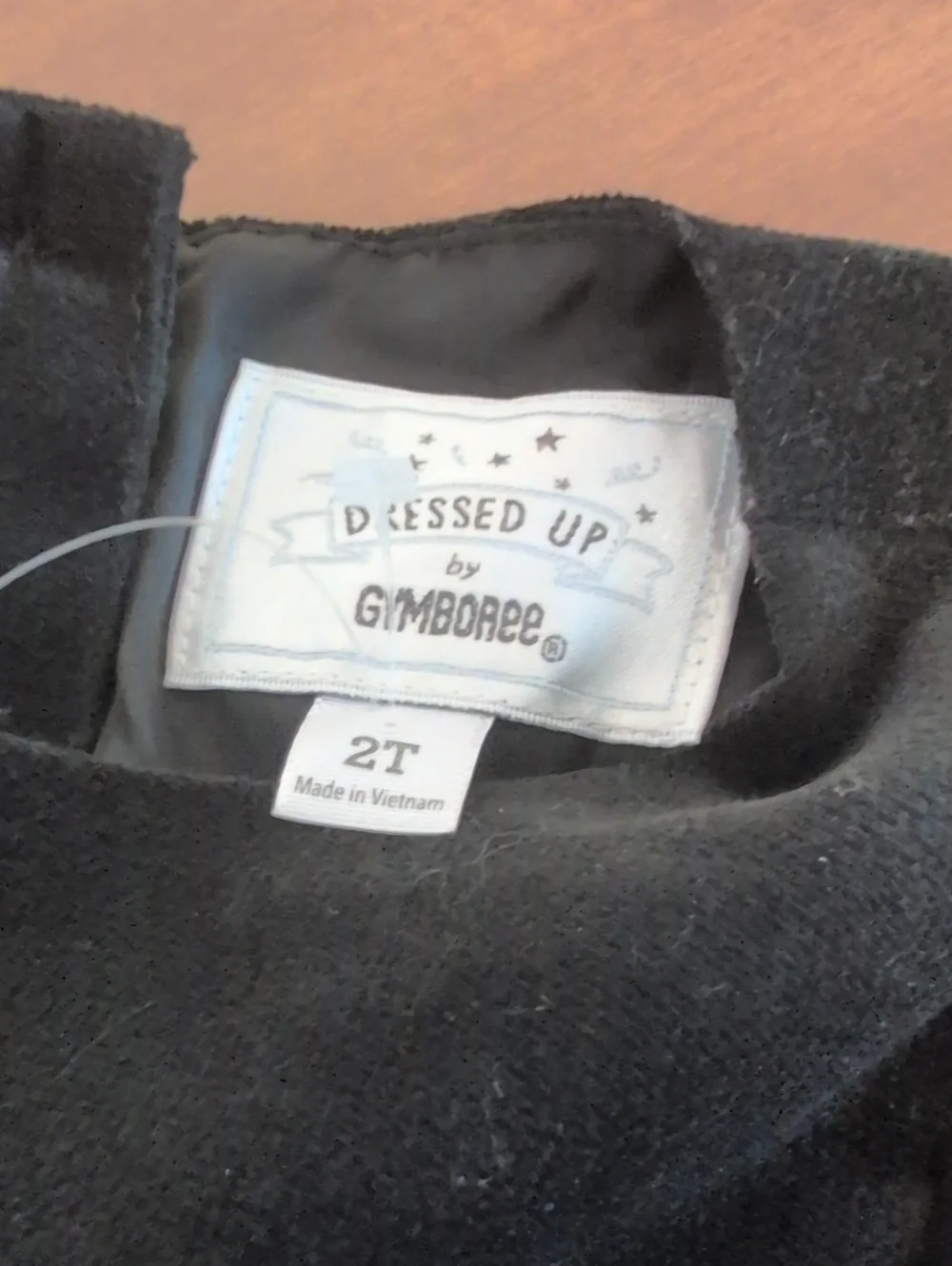 Gymboree 2T dress